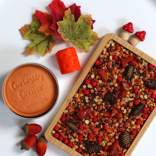 Autumn Daze Sensory Play Kit